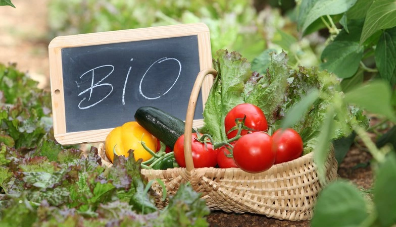 Fit4You Delivery foloseste acum produse bio! De ce e bine sa consumi alimente crescute natural
